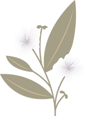 Copy of flower-12_edited.png