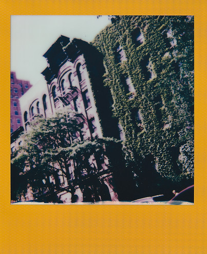 Polaroid_20221109_0005.jpg