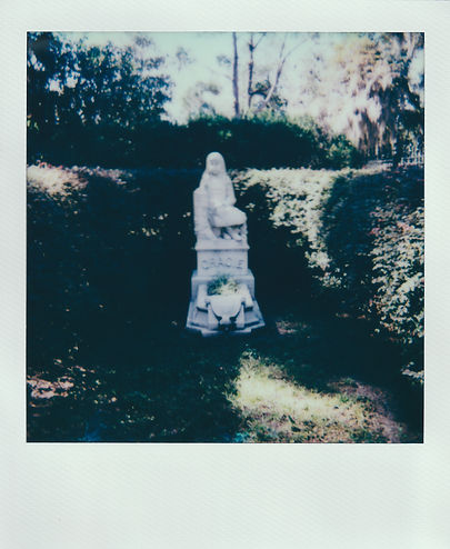 Polaroid_20221109_0007.jpg
