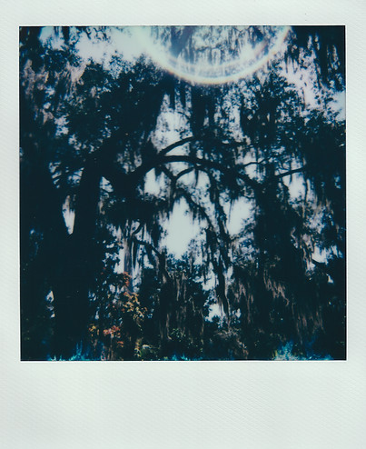 Polaroid_20221109_0009.jpg