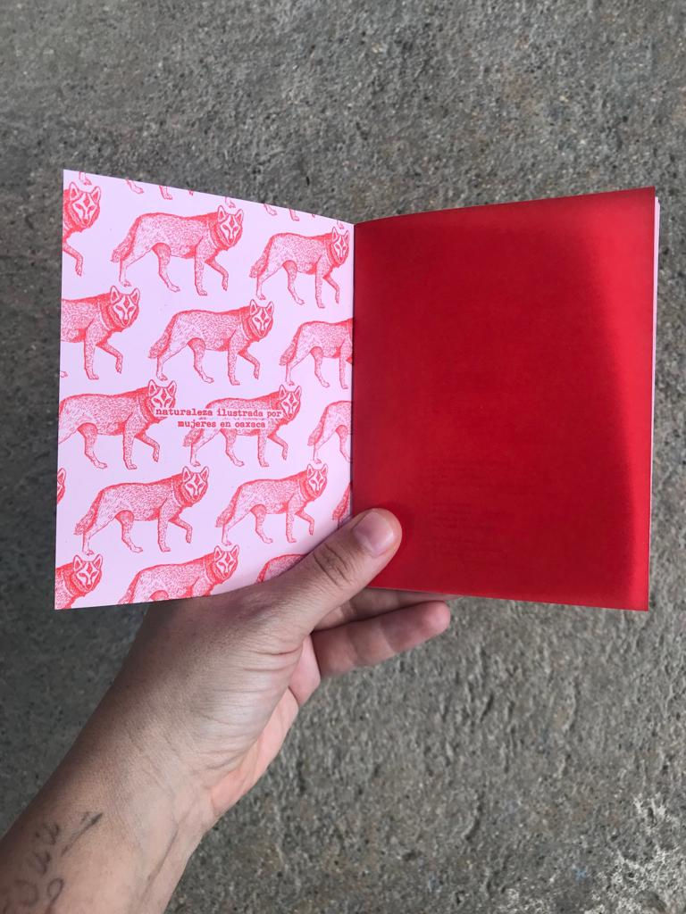 Miniatura: Fanzine Indómita