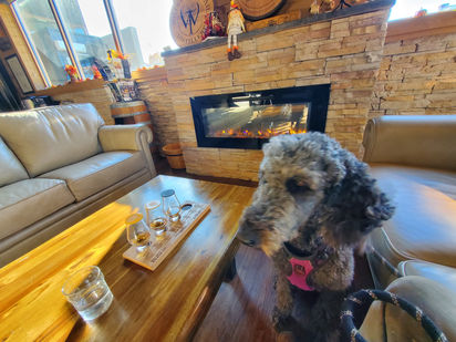 Poodle Bourbon Tasting in Kentucky #Trail South RV