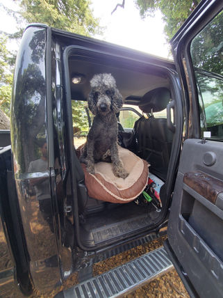 Kala in truck ready to go