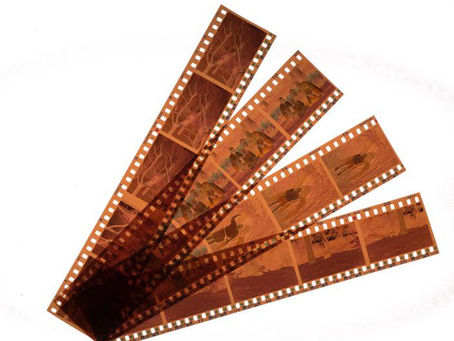 The Film Forever MPE Blog - Photo Negatives