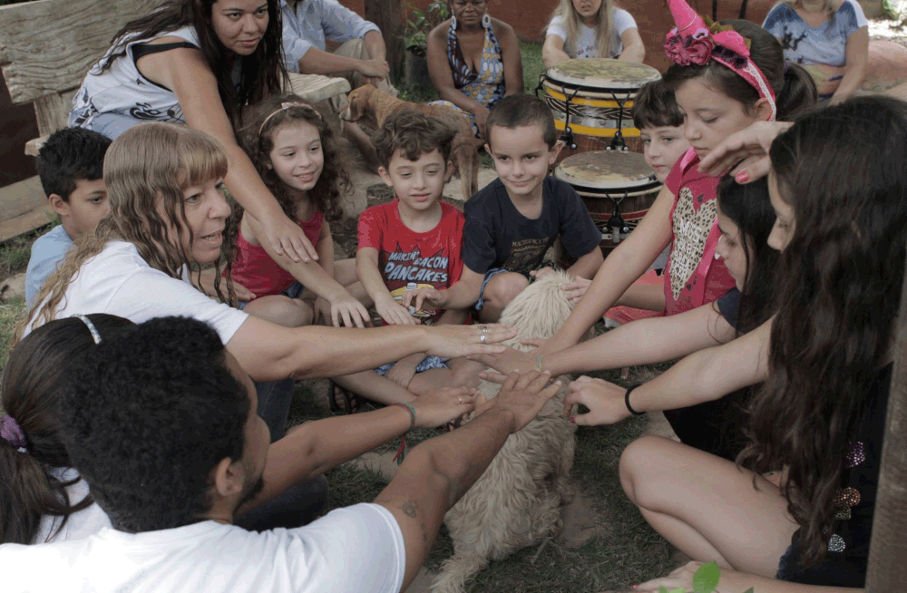 Curso no DF ensina a aplicar reiki em animais