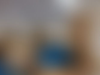 Primary School Library