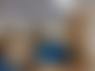 Primary School Library