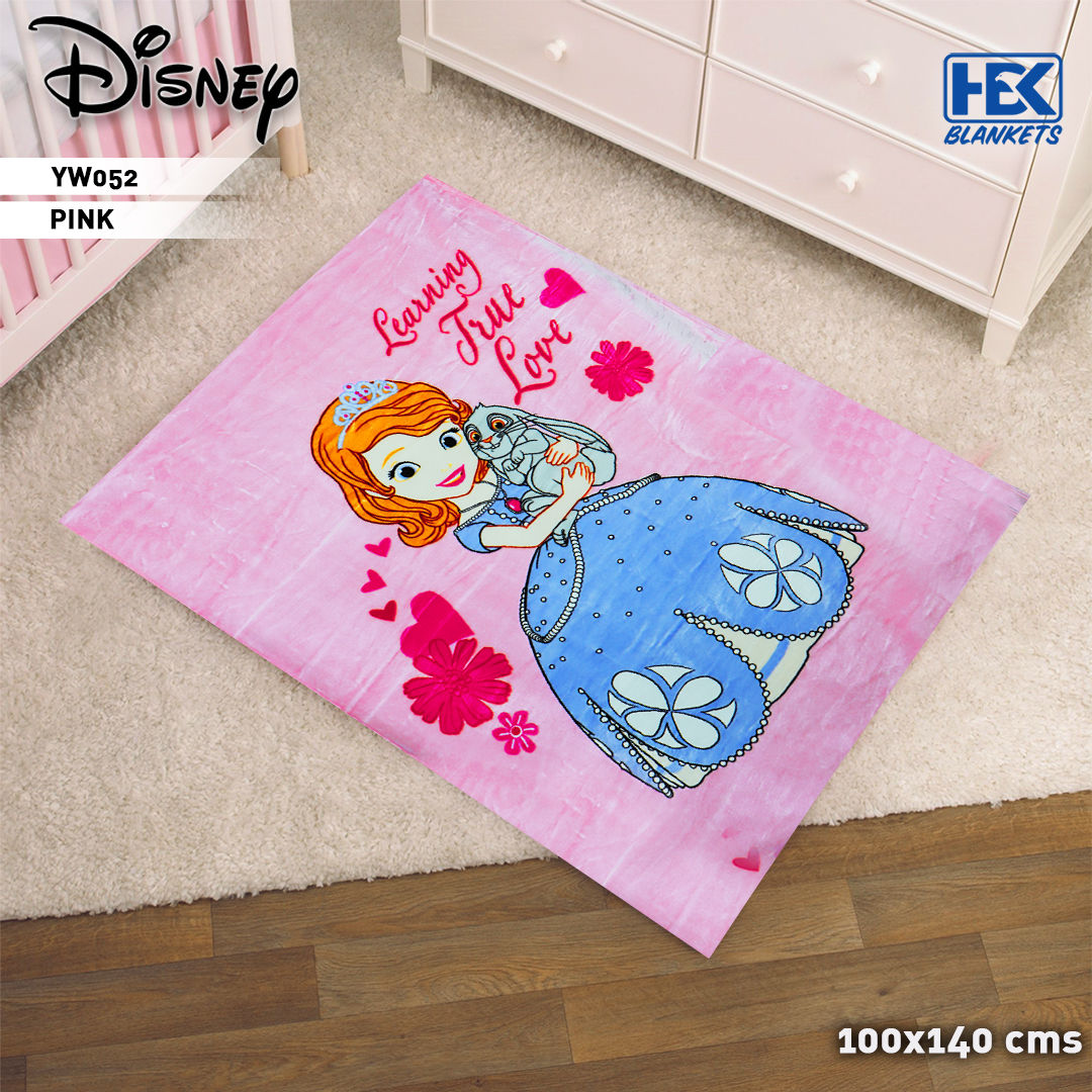 Disney 1-Ply Baby Blanket