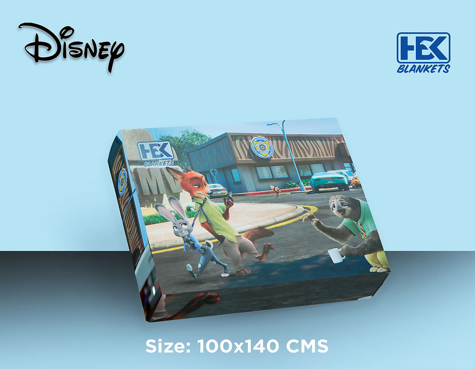 Thumbnail: Disney 1-Ply Baby Blanket