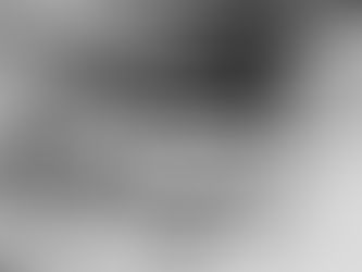 Transparent Pricing | BREXIT 