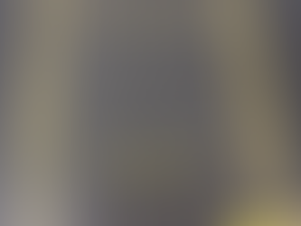 Philosophy Is Life: A Reflection Inspired by Zhuangzi