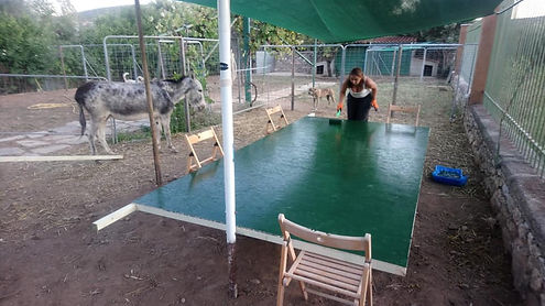 Neure Stall 2.jpg