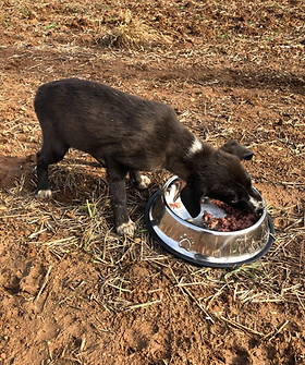 47169824_316042449010545_431660645363377