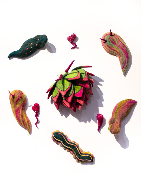 Sea Slugs 1.png