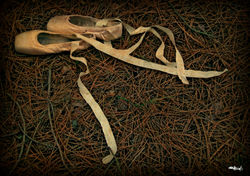 Still life in progres...