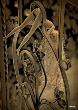 Still life in progres...