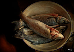 Still life in progres...