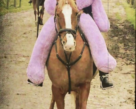 STUNNING RIDING