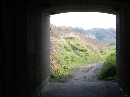 Stroll on the Island #1