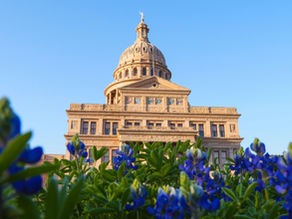 Early Spring in Austin: How Locals Move Before Spring Event Season Takes Over