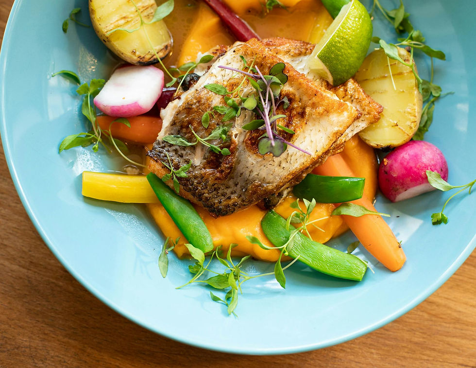 Functional Meals for Your Flush: Advice to Support Your Success