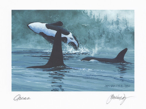 Killer Whale 完成品 Orca, Killer Whale, Hollow Rubber Replica 5