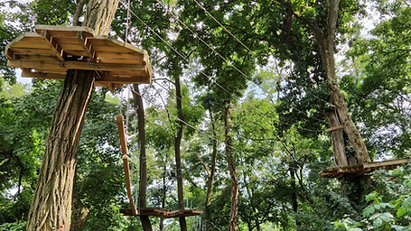 Wye Valley - Go Ape Treetop Challenge.png