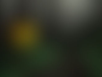 Day 5: Format of directions or a guidebook for someone