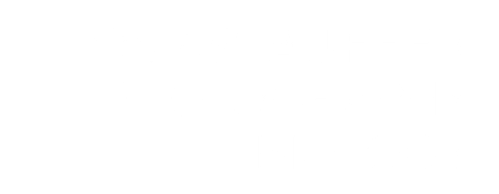 Thomas Stauffer Logo.png