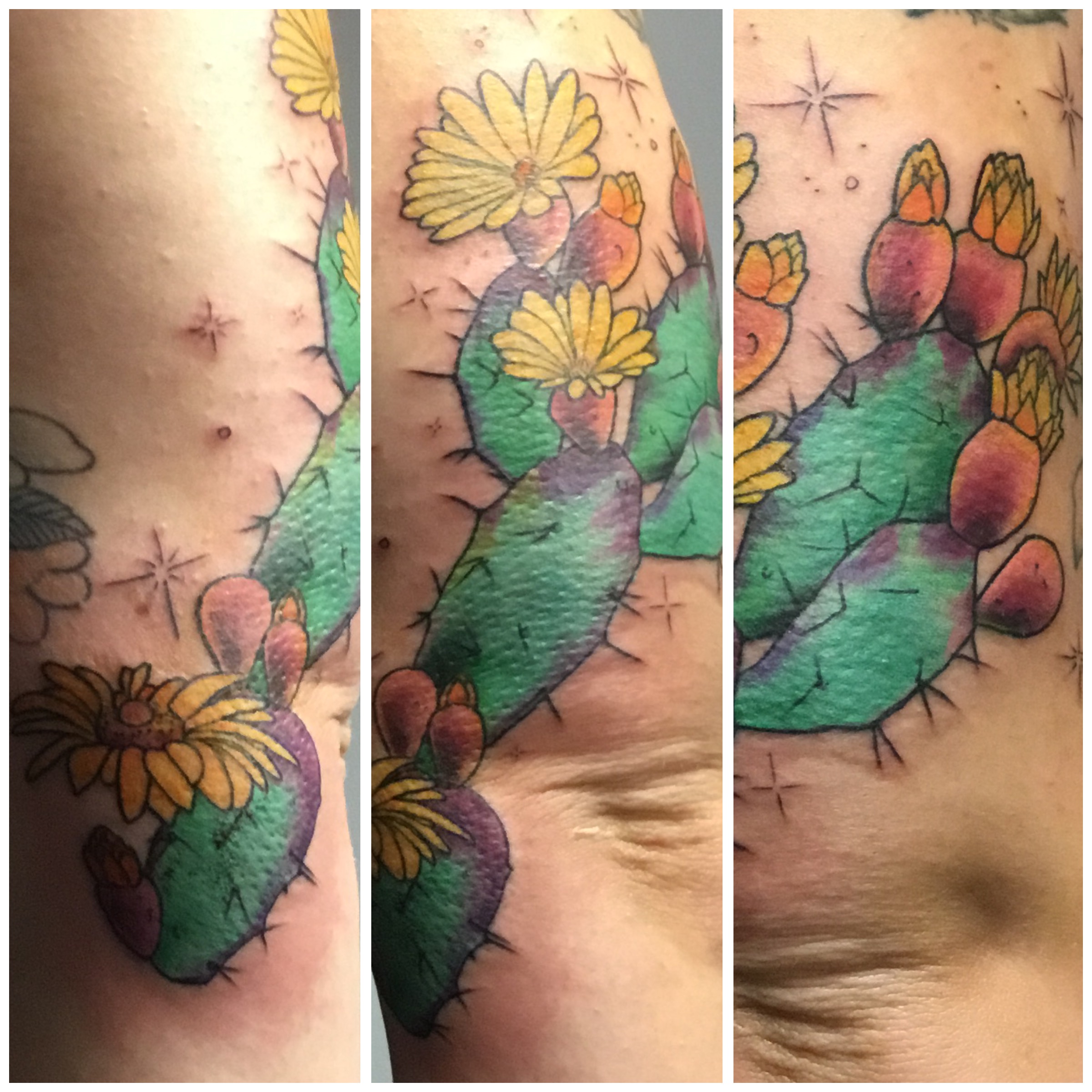 Cactus