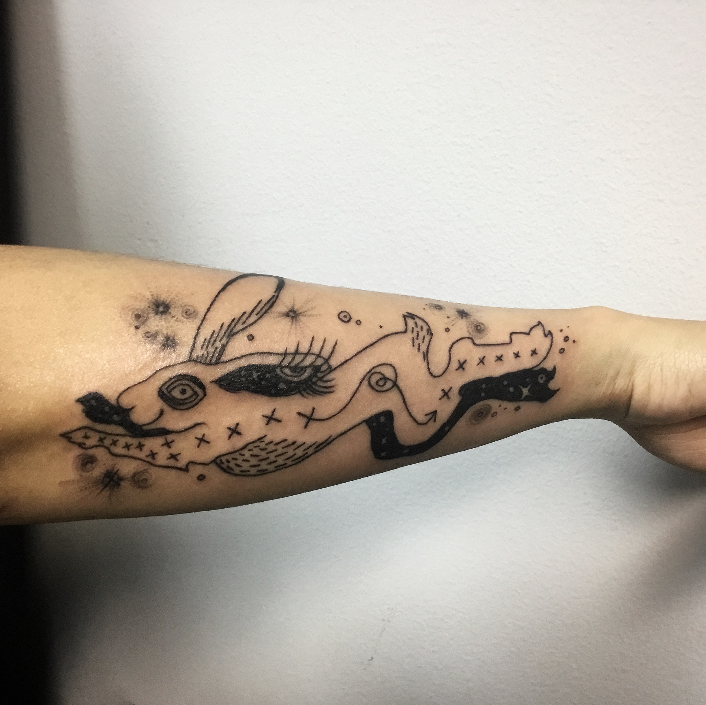 Elena's Rabbit