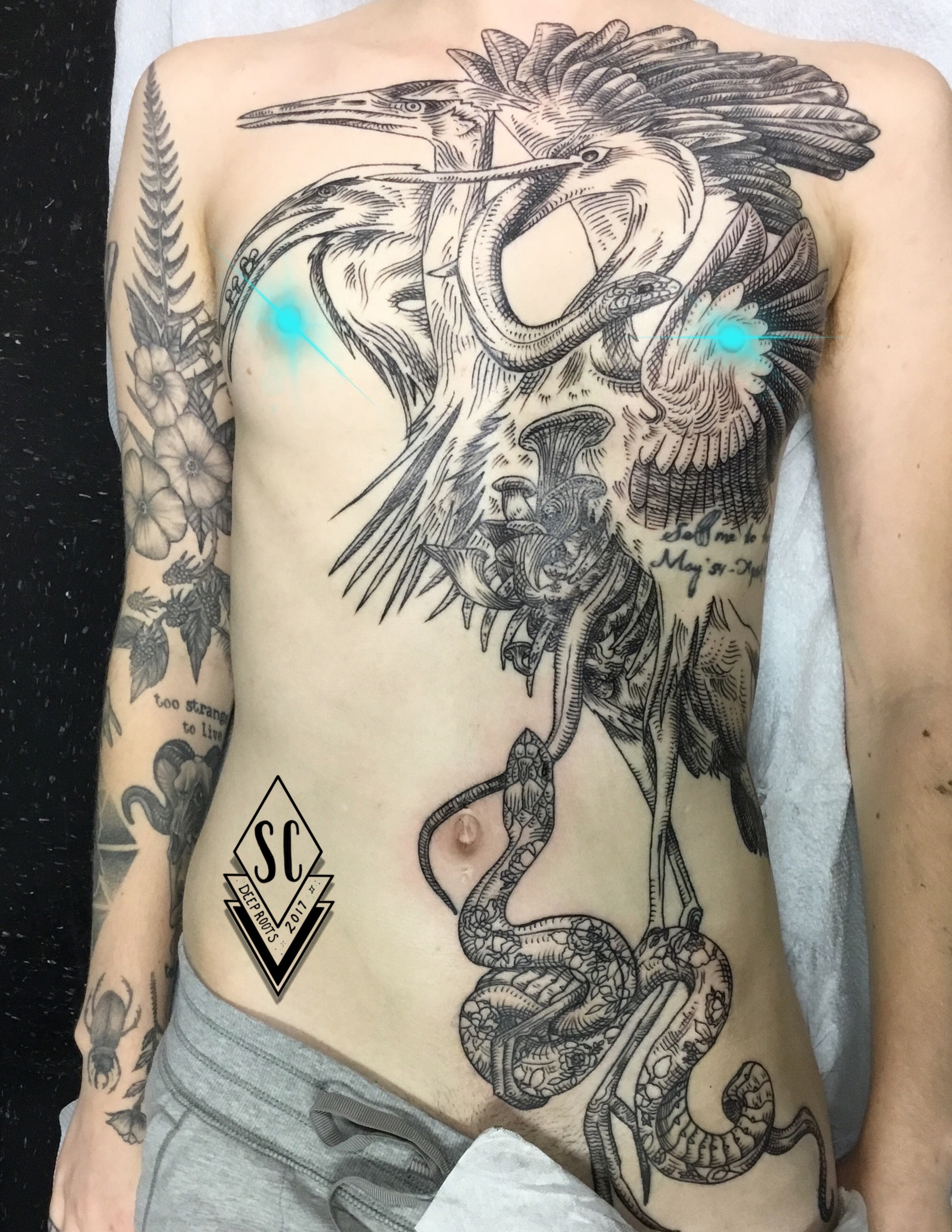 Eilenas front