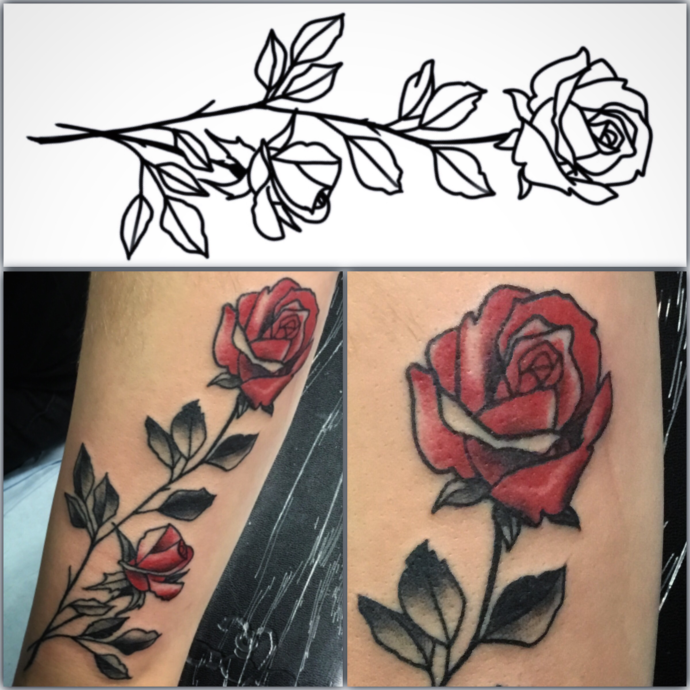 Simple Red Rose