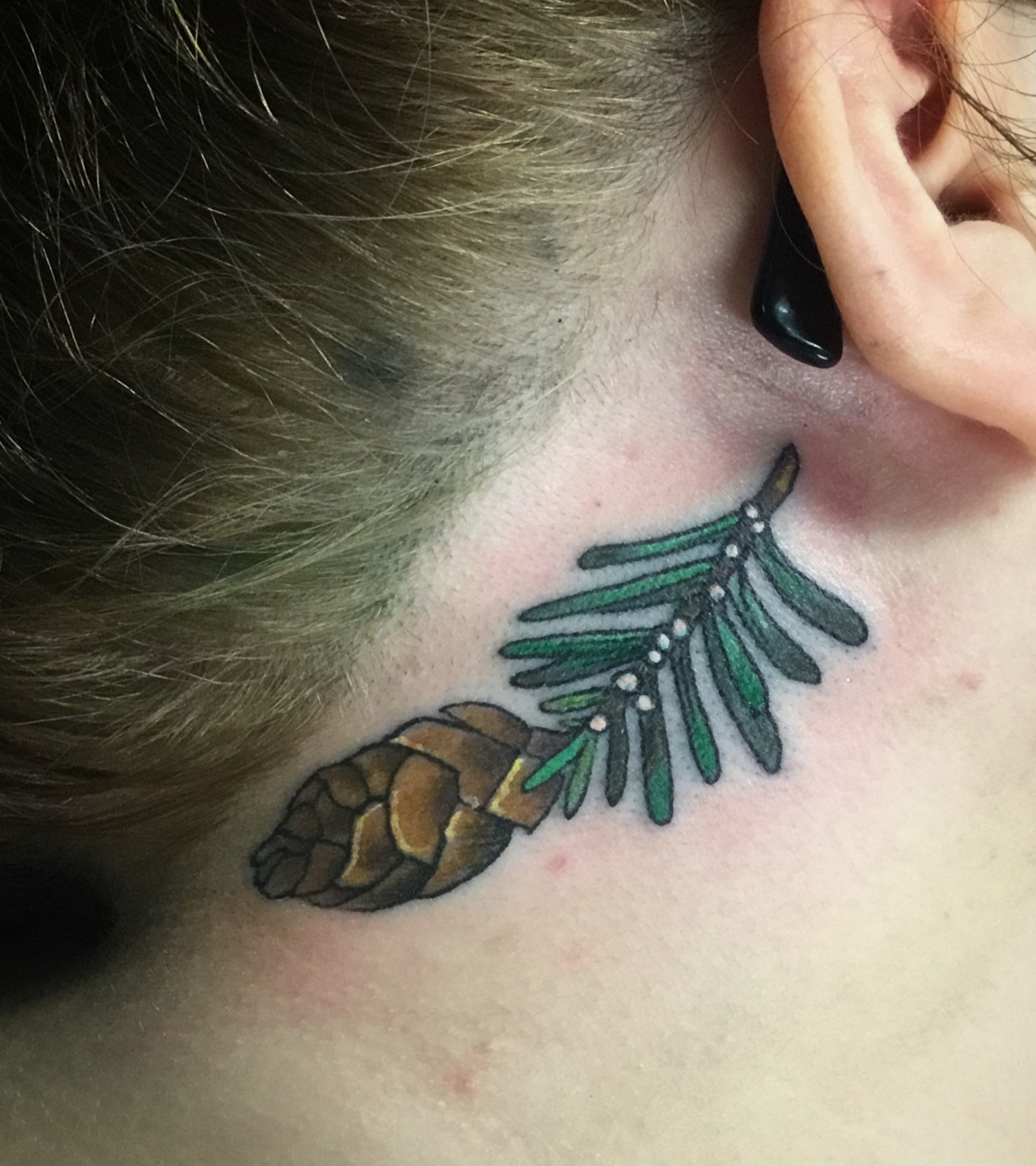 Hemlock on Copper