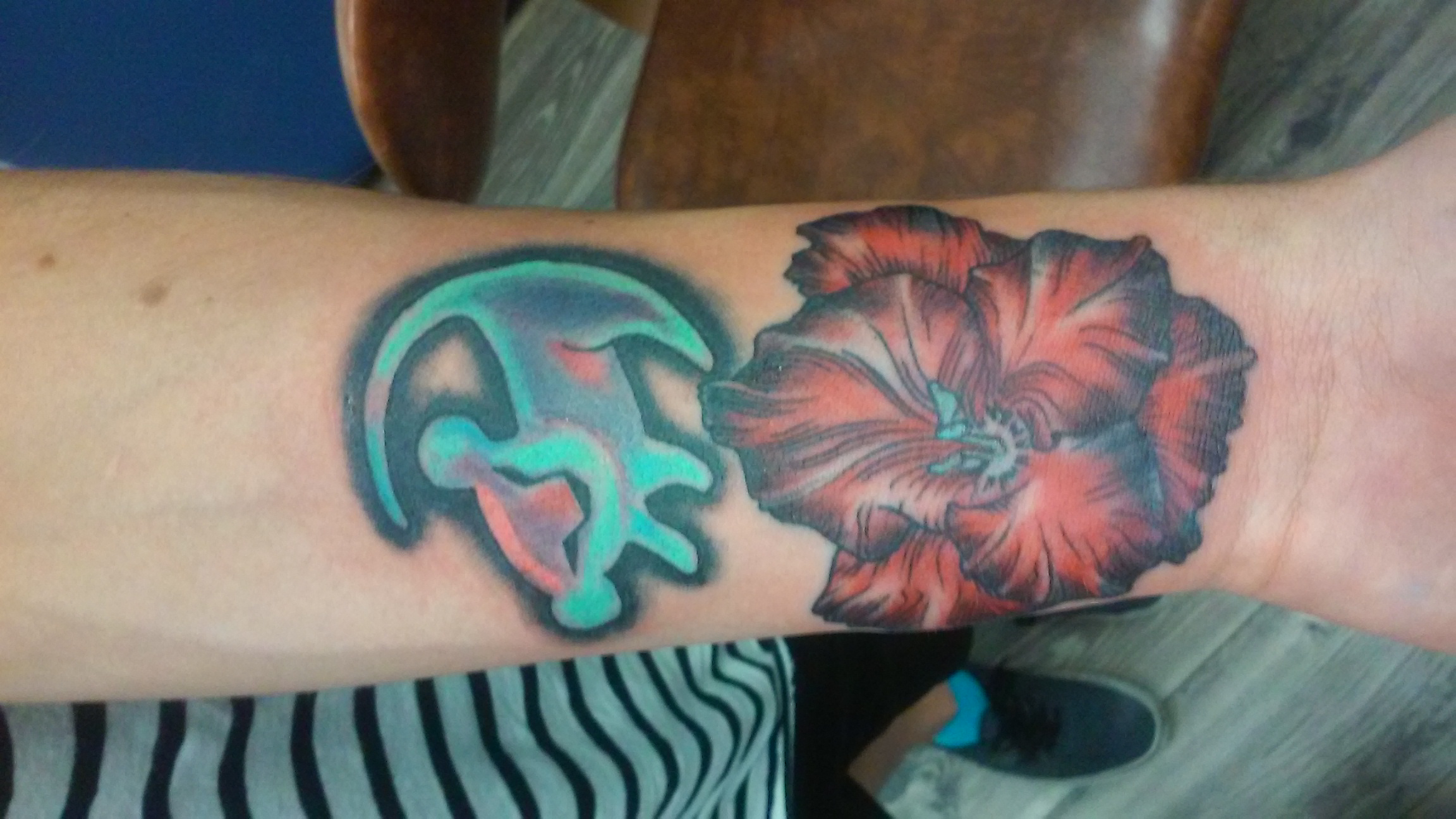 gladiolus and lionking