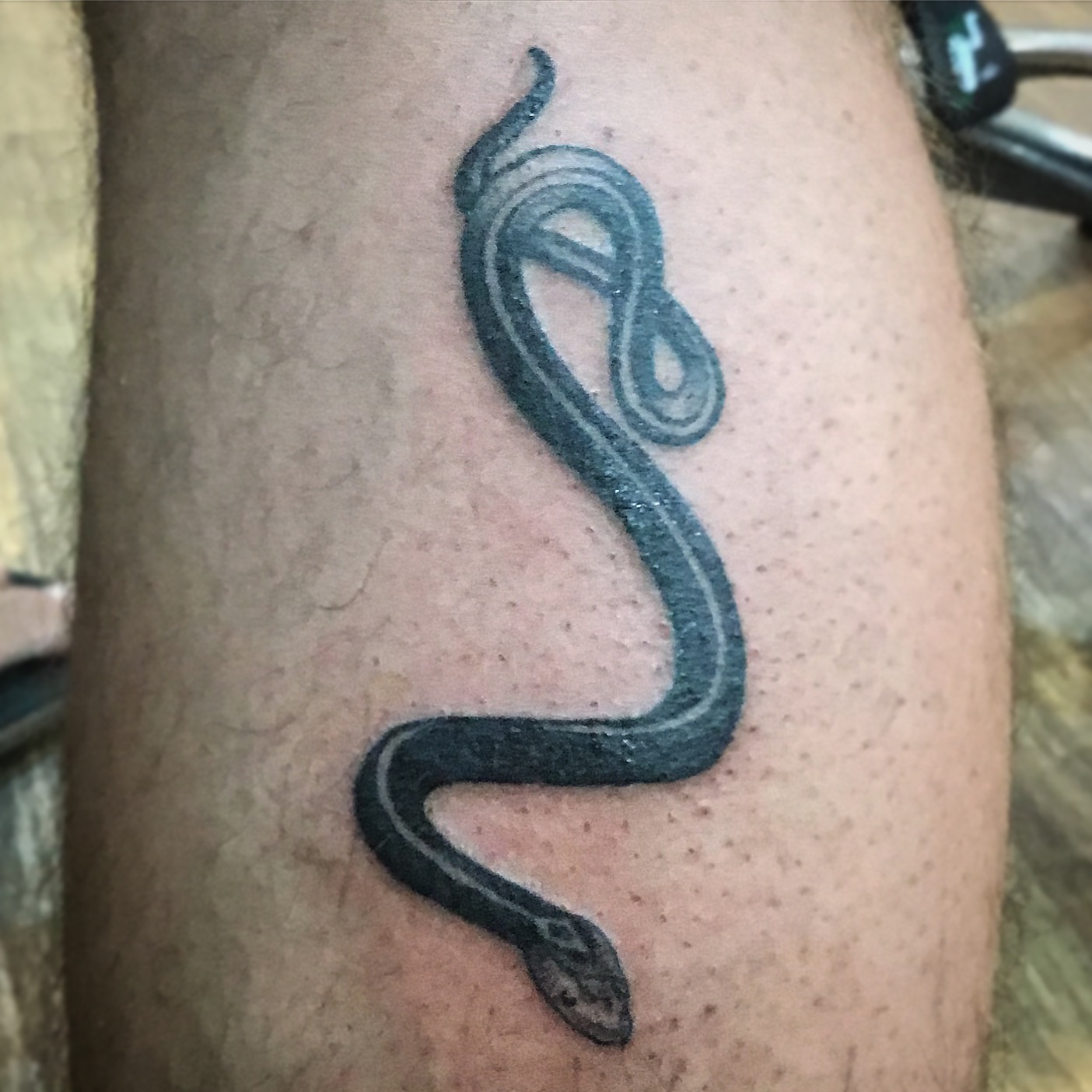 snake