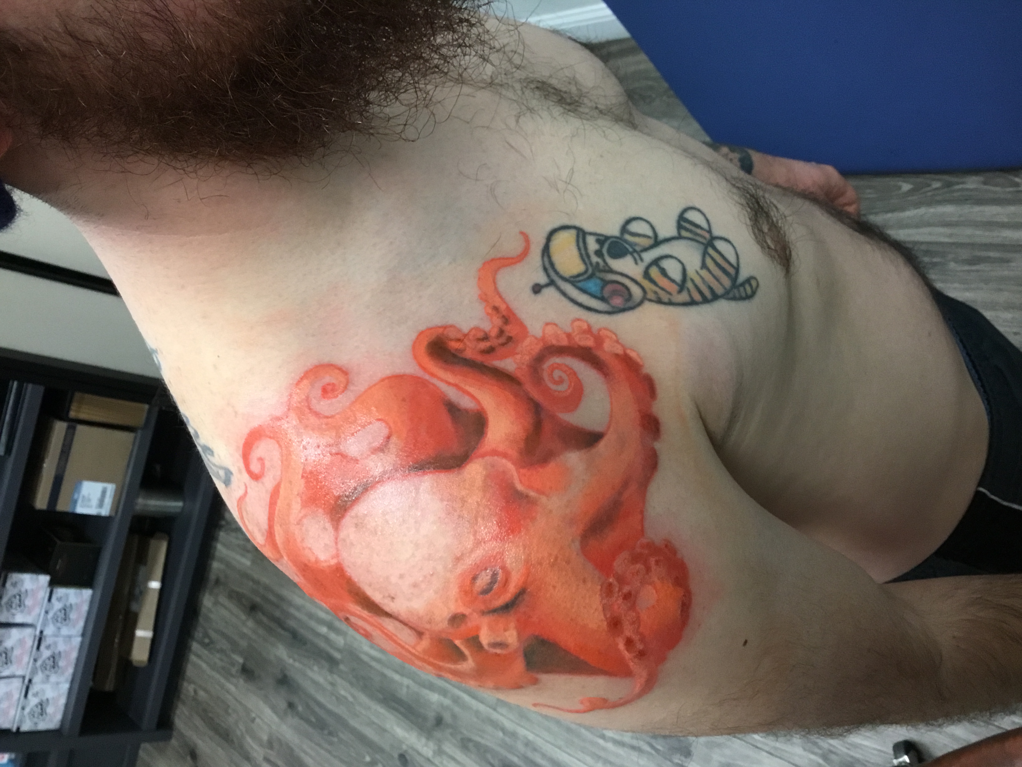 Octopus on Martin