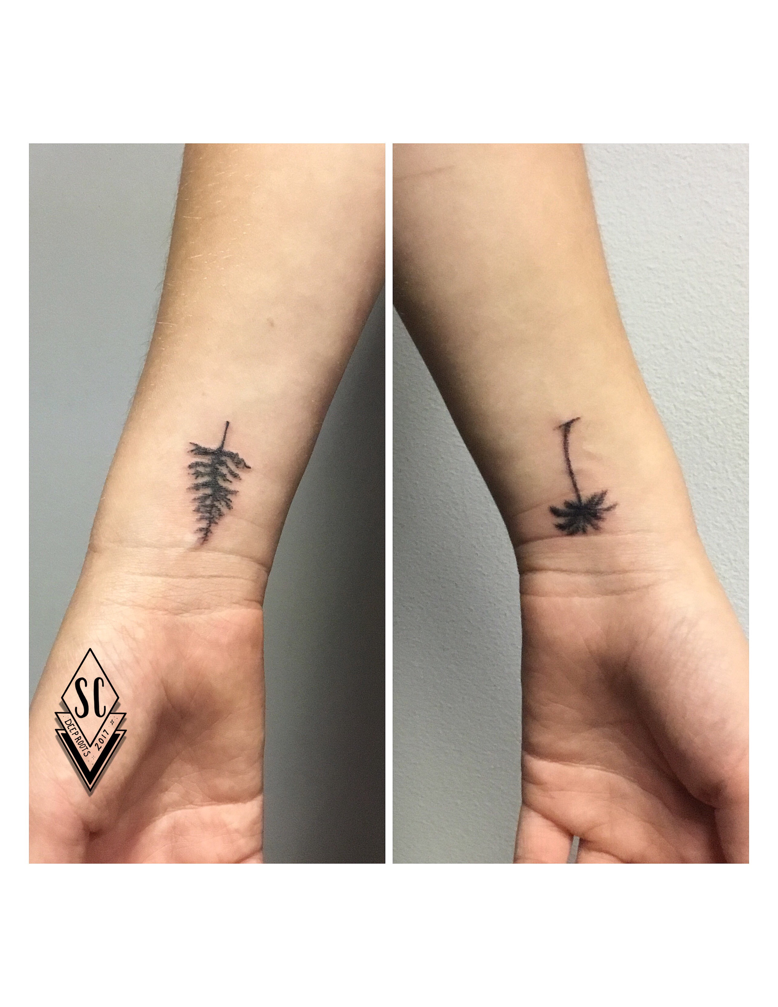 Trees