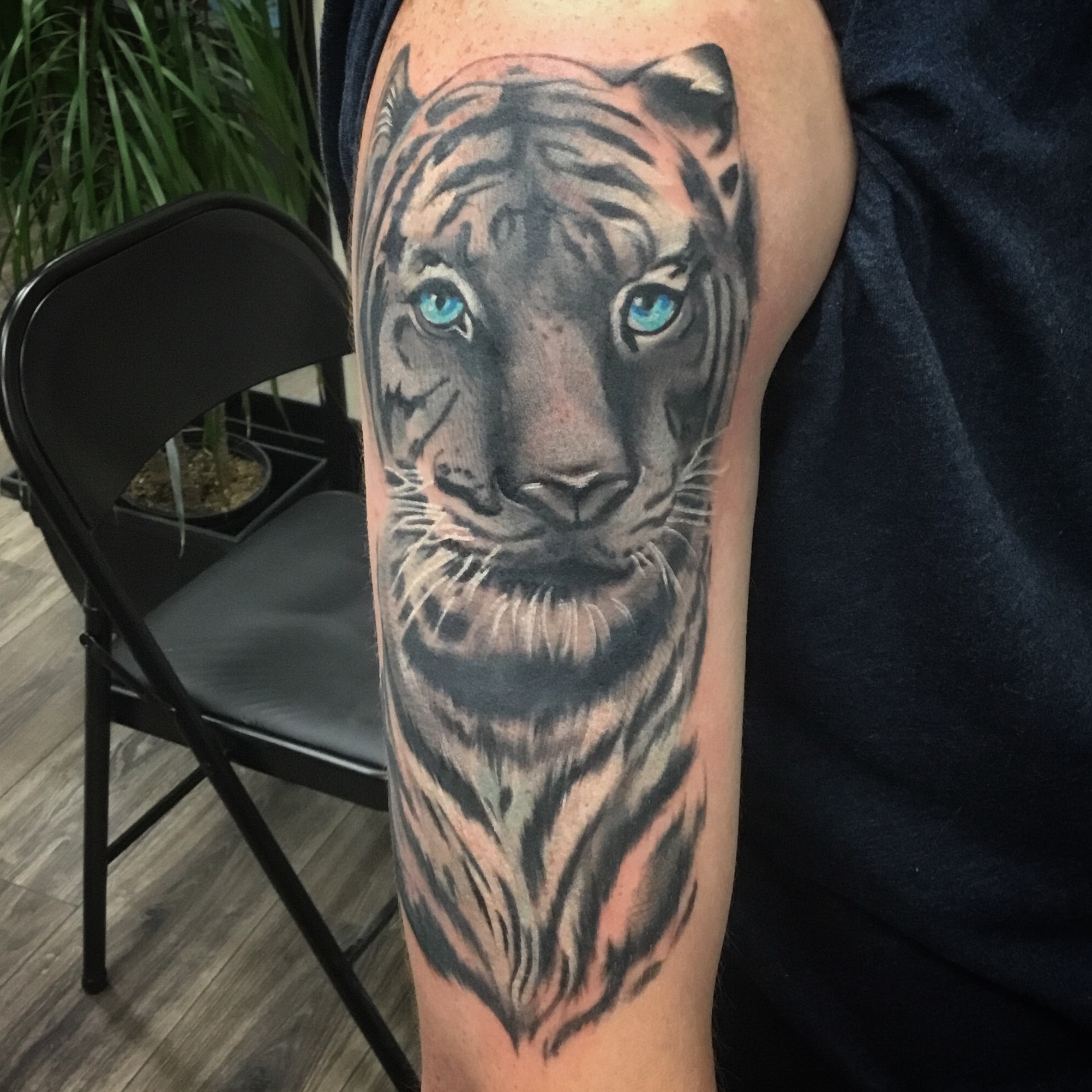 Tyler's tiger
