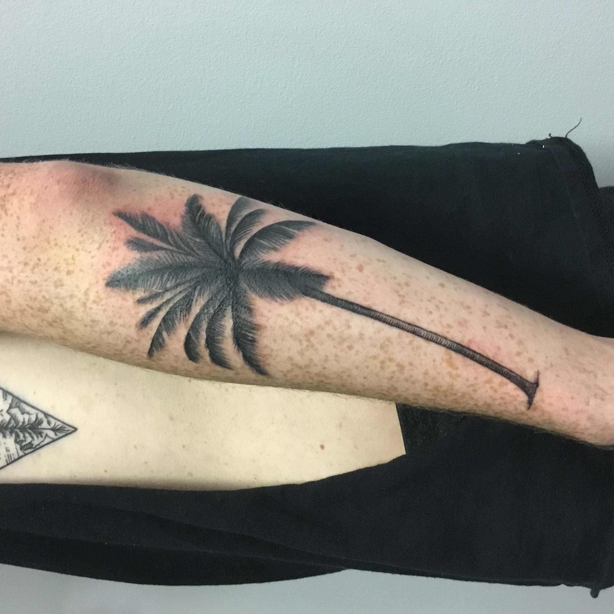 Freshly tattoo palm tree