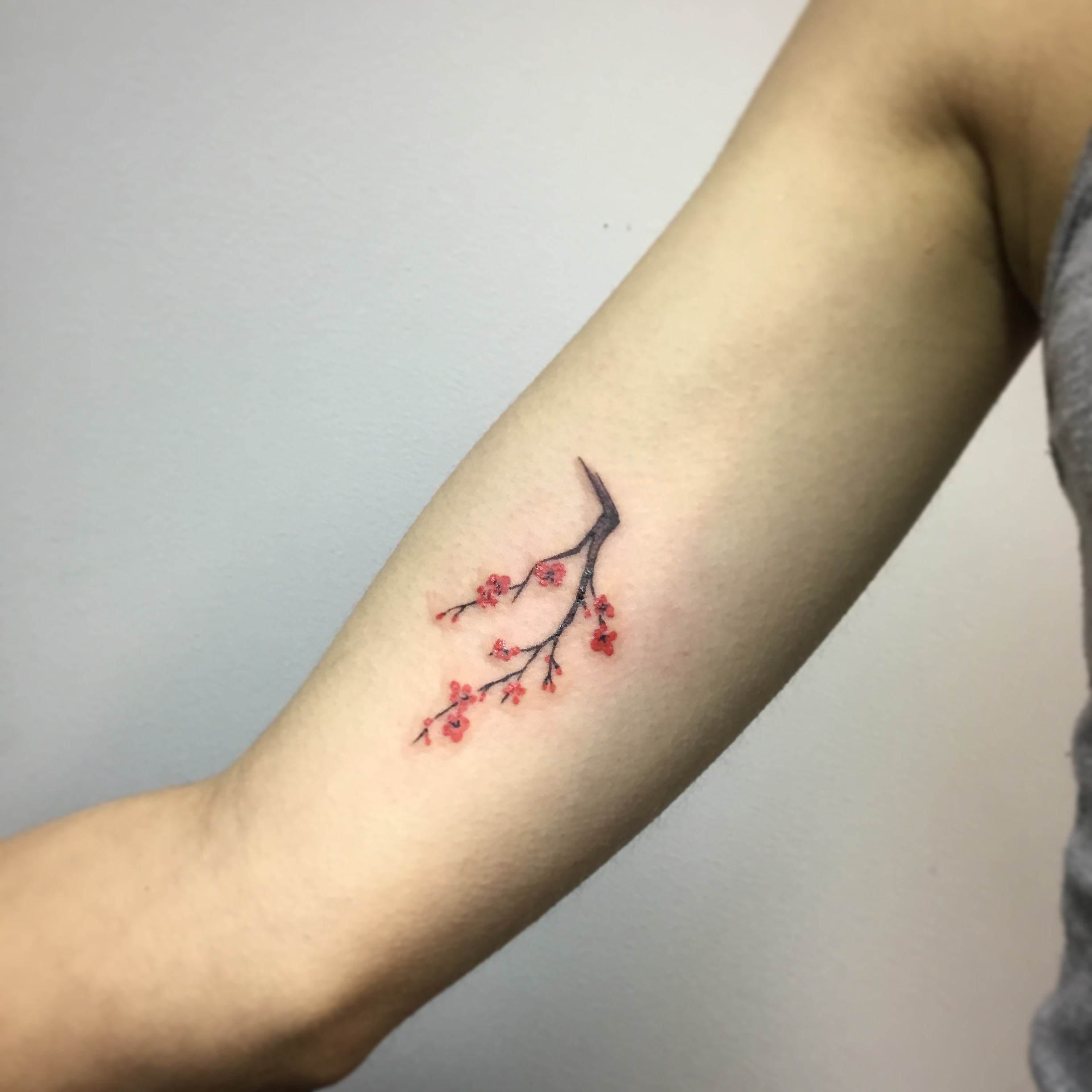 Ink style Sakura
