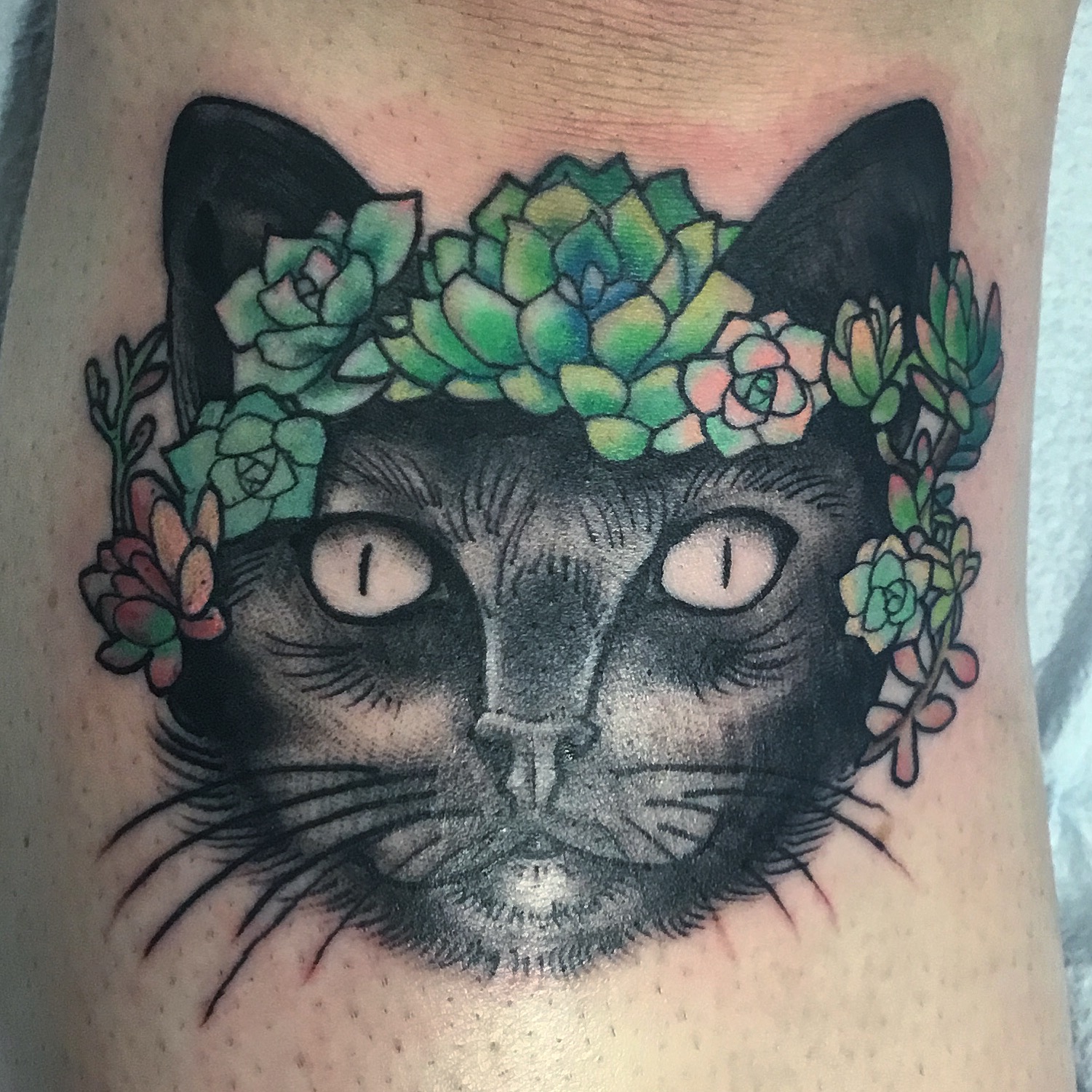 Succulent Cattoo