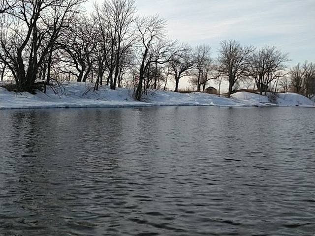 Snowy shoreline on a lake near Ottertail