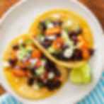 Herbivore Taco