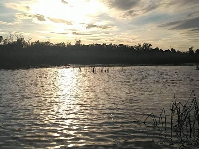 Evening sun on the water