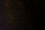 AdobeStock_399267826.jpeg