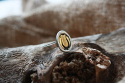 טבעת נבל דוד, כסף וזהב