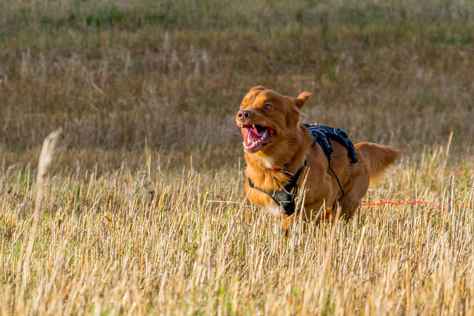 DSC_6403-1.jpg