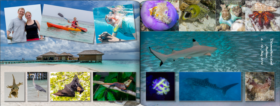 Photobook_example_04.png