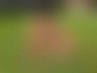 Protect Your Property: Understanding and Preventing Water and Sewer Line Failure